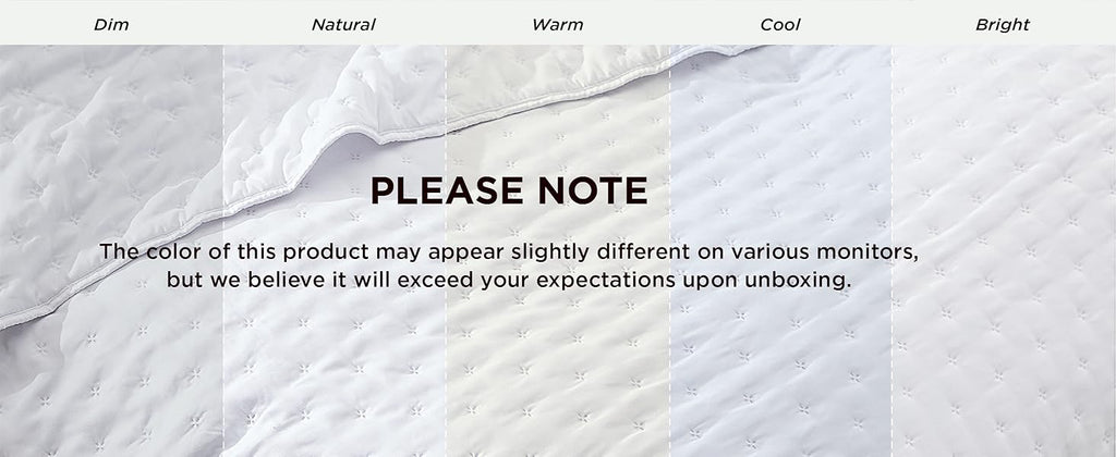 Quilts Queen Size - Bright White Bedspread Queen Size & Lightweight Comforter, Modern Coverlet with Clover Pattern, Ultra Soft All-Season Bedding, 90 x 96 Inches | Stitch-Free Quilting, Lightweight, Summer Bedding Set, Machine Washable, Pet-Friend